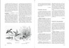 Les oiseaux du canton de Vaud.. Sermet, E. & P.-A. Ravussin