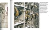 Les oiseaux du Muséum. Voyages à travers les collections.. Norwood, Julien