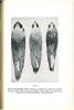 Notas Sôbre Falco peregrinus Anatum Bonaparte no Brasil (Falconidae, Aves).. Sick, Helmut