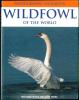 Wildfowl of the world. Photographic handbook.. Ogilvie, M. & S. Young
