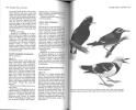 The birds of China.. Schauensee, R.M. de