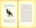 Les oiseaux observés en Belgique. Vol. II. Les ptilopaides.. Contreras, Marcel de