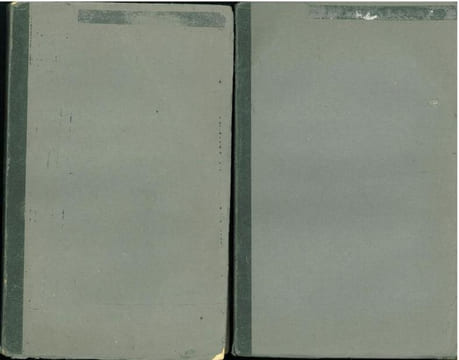 Les oiseaux d'Amérique. 2 volumes.. Audubon, Jean-Jacques