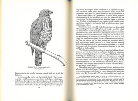 Mexican birds. First impressions based upon an ornithological expedition to Tamaulipas, Nuevo Leon, and Coahuila.. Sutton, G.M.