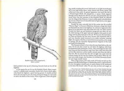 Mexican birds. First impressions based upon an ornithological expedition to Tamaulipas, Nuevo Leon, and Coahuila.