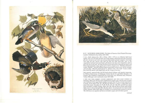 John James Audubon and his circle.. Anonymous,
