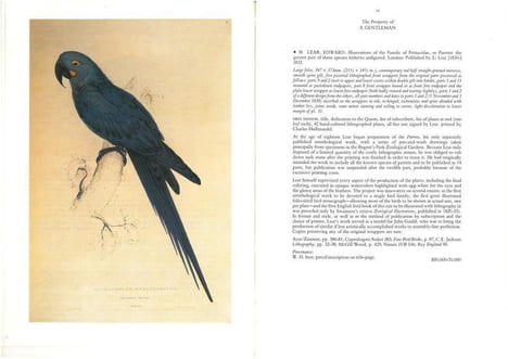 John James Audubon and his circle.. Anonymous,