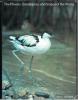 The plovers, sandpipers, and snipes of the world.. Johnsgard, Paul A.