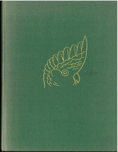 Parrots of Australasia.