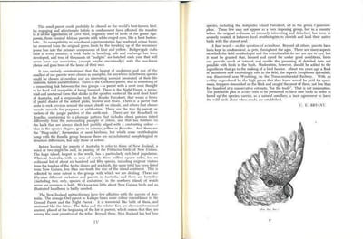Parrots of Australasia.