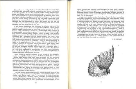 Parrots of Australasia.. Barrett, Charles