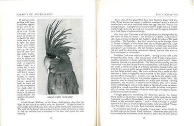 Parrots of Australasia.