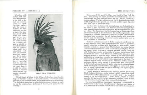 Parrots of Australasia.. Barrett, Charles