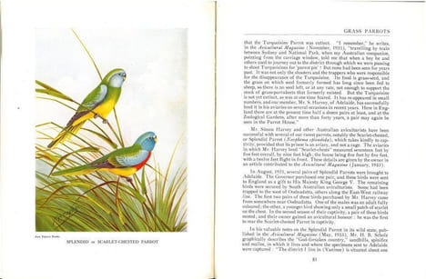 Parrots of Australasia.. Barrett, Charles