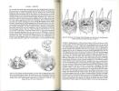 Handbuch der Vögel Mitteleuropas. Vol. 9. Columbiformes - Piciformes.. Glutz, Von Blotzheim U. (ed.)