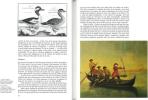 Anthologie des canards sauvages.. Brochier, Jean-Jacques