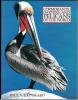 Cormorants, darters and pelicans of the world.. Johnsgard, Paul A.