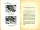 L'Oiseau et la Revue Française d'Ornithologie. Vol. XX : n° 1 à 4.. L'Oiseau et la Revue Française d'Ornithologie,