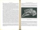 Acta XI Congressus Internationalis Ornithologici.. Portmann, A. & E. Sutter (eds)