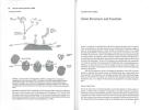 Phylogeny and classification of birds. A study in molecular evolution.. Sibley, C.G. & J.E. Ahlquist