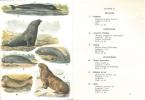 Petit atlas des mammifères, fasc. III : cétacés, siréniens, pinnipèdes, carnivores, chiroptères.. Rode, Paul