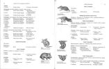 A world list of Mammalian species.. Corbet, G.B. & J.E. Hill