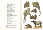 Petit atlas des mammifères. fasc. II. ongulés.. Rode, Paul