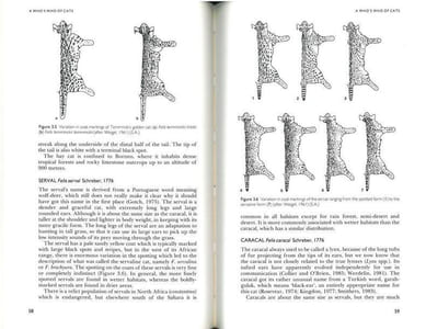 The natural history of the wild cats.