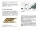 Guide des mammifères d'Europe.. Schilling, D. et al.