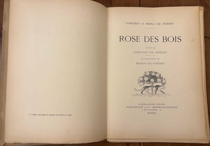 Rose des Bois
