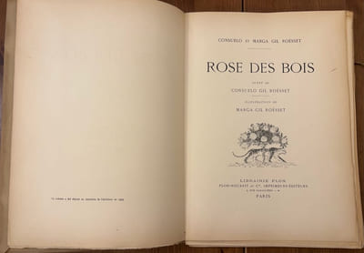 Rose des Bois