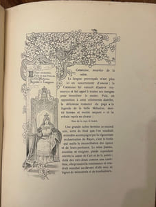 Une cour d'amour en 1886