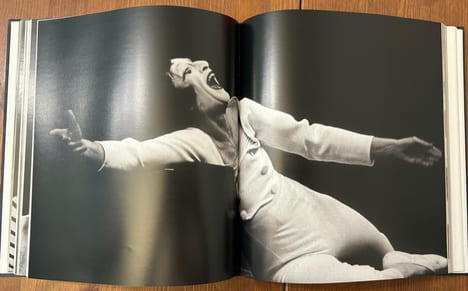 Le Mime Marcel Marceau, entretiens et regards avec Valérie Bochenek.. MARCEAU, Marcel & BOCHENEK, Valérie.