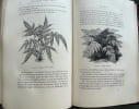 A travers champs. Botanique pour tous. Histoire des principales familles v&eacute;g&eacute;tales.. LE BRETON, Jos&eacute;phine.