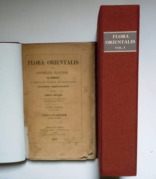 Flora Orientalis sive enumeratio plantarum in oriente a Graecia et Eagypto ad Indiae fines hucusque observatorum. Volumen quartum (fasciculus primus ...
