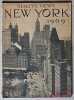 Staley's views of New York 1909.. [NEW YORK]