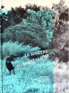 Le spectre du surréalisme. Survivance du surréalisme dans la photographie contemporaine.