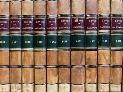 Revue de GASCOGNE. Bulletin mensuel du Comité d'Histoire et d'Archéologie de la province ecclésiastique d'Auch. T. V à XIX.