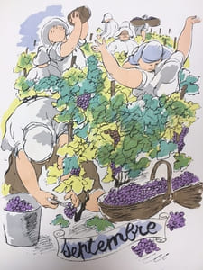 Les dicts de la vigne. Recueillis & illustrés par Julien Pavil.