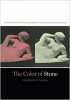 The Color of Stone: Sculpting the Black Female Subject in Nineteenth-century America.. A.NELSON (Charmaine)
