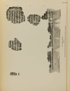 STUDIES PRESENTED TO F. LL. GRIFFITH.. undefined