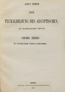 Die Pluralbildung des Aegyptischen. Ein grammatischer Versuch.