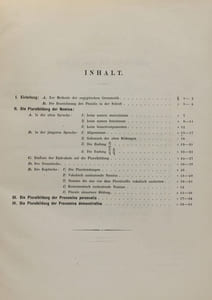 Die Pluralbildung des Aegyptischen. Ein grammatischer Versuch.