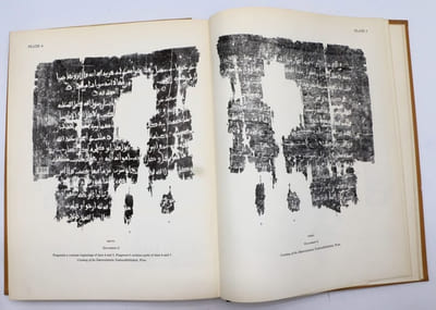 Studies in arabic literary papyri. Vol. 2 : Qur'anic commentary and tradition.