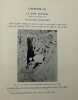 Fouilles franco-polonaises. Rapports. - I. Tell Edfou, 1937. Plans et dessins de Mlle G. Jourdain.. BRUYERE (B.), MANTEUFFEL (J.), MICHALOWSKI (K.) & ...