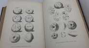 Ilios ville et pays des Troyens. Résultat des fouilles sur l'emplacement de Troie et des explorations faites en Troade de 1871 à 1882. Traduit de ...