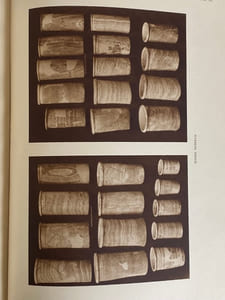 Excavations at Saqqara, 1937-1938. HOR-AHA.