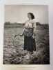 Jules Breton.. [BRETON] VACHON (Marius)