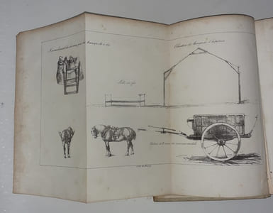 Précis historique et administratif de la campagne d'Afrique.