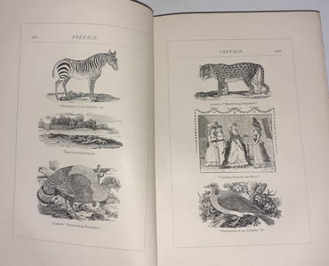 Bewick's select fables of Aesop and others.